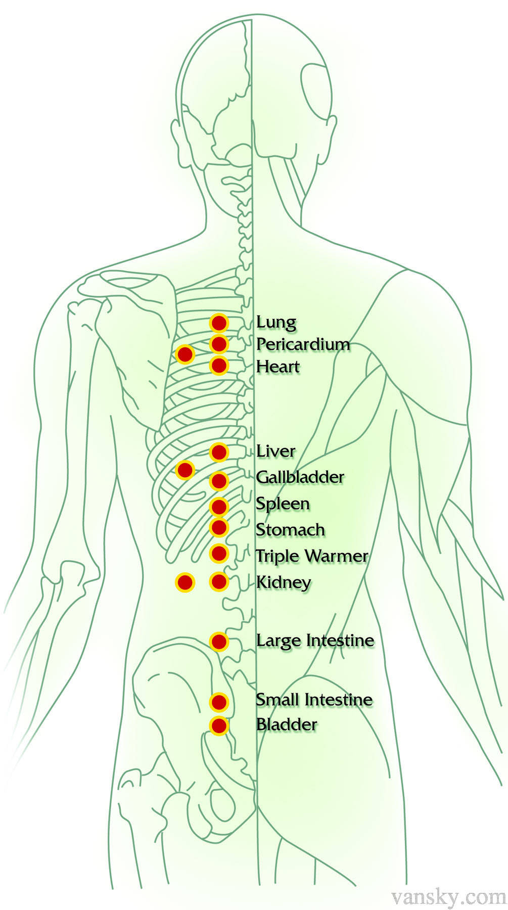 220425160406_Acupressure points.jpg